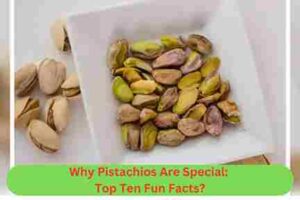 Buy Premium Salted Mixed Nuts, Almonds, Pistachio, Peanuts, Cashew Online in UAE, Dubai, Sharjah