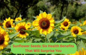 Sunflower Seeds: Six Health Benefits That Will Surprise You