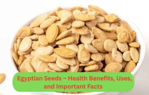 Egyptian Seeds – Health Benefits, Uses, and Important Facts