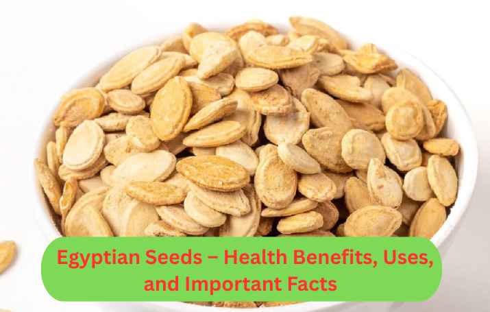 Egyptian Seeds – Health Benefits, Uses, and Important Facts