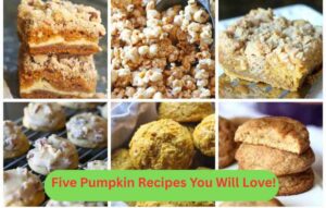 Five Pumpkin Recipes You Will Love!