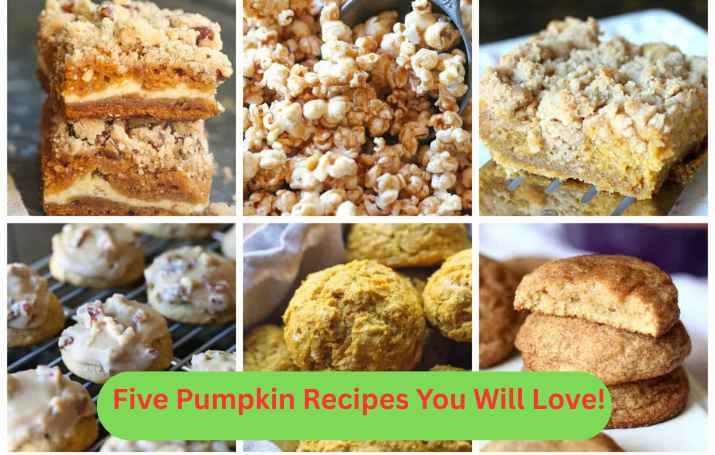 Five Pumpkin Recipes You Will Love!