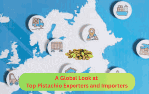 A Global Look at Top Pistachio Exporters and Importers
