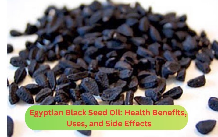 Egyptian Black Seed Oil: Health Benefits, Uses, and Side Effects