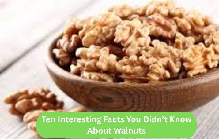 10 Interesting Facts About Walnuts You Should Know