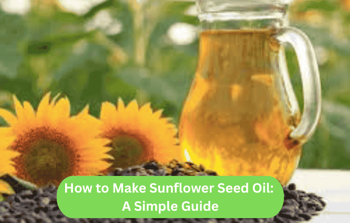 How to Make Sunflower Seed Oil: A Simple Guide