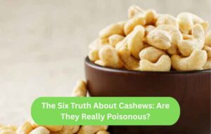The Six Truth About Cashews: Are They Really Poisonous?