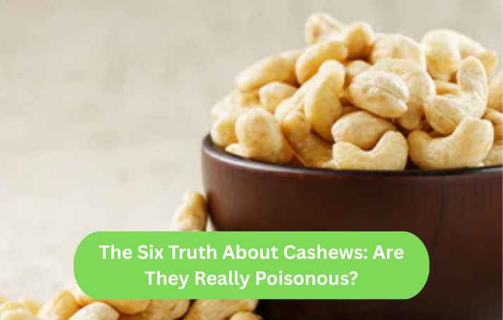 The Six Truth About Cashews: Are They Really Poisonous?