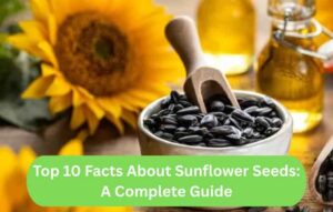 Top 10 Facts About Sunflower Seeds: A Complete Guide