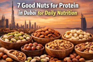 7 Good Nuts for Protein in Dubai for Daily Nutrition