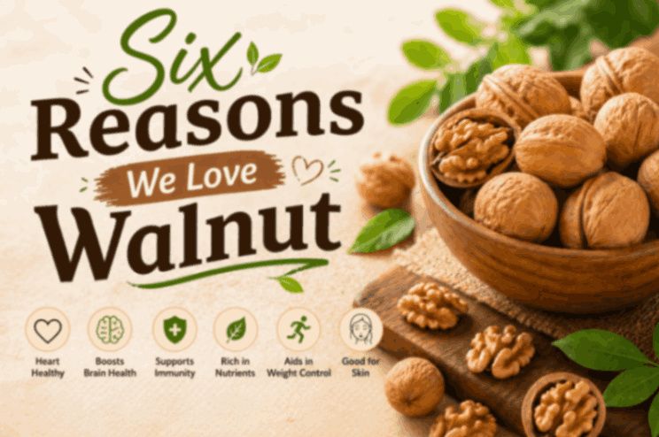 Six Reasons We Love Walnuts for Everyday Eating