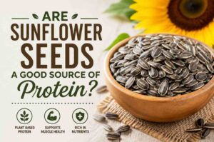 Are Sunflower Seeds a Good Source of Protein?
